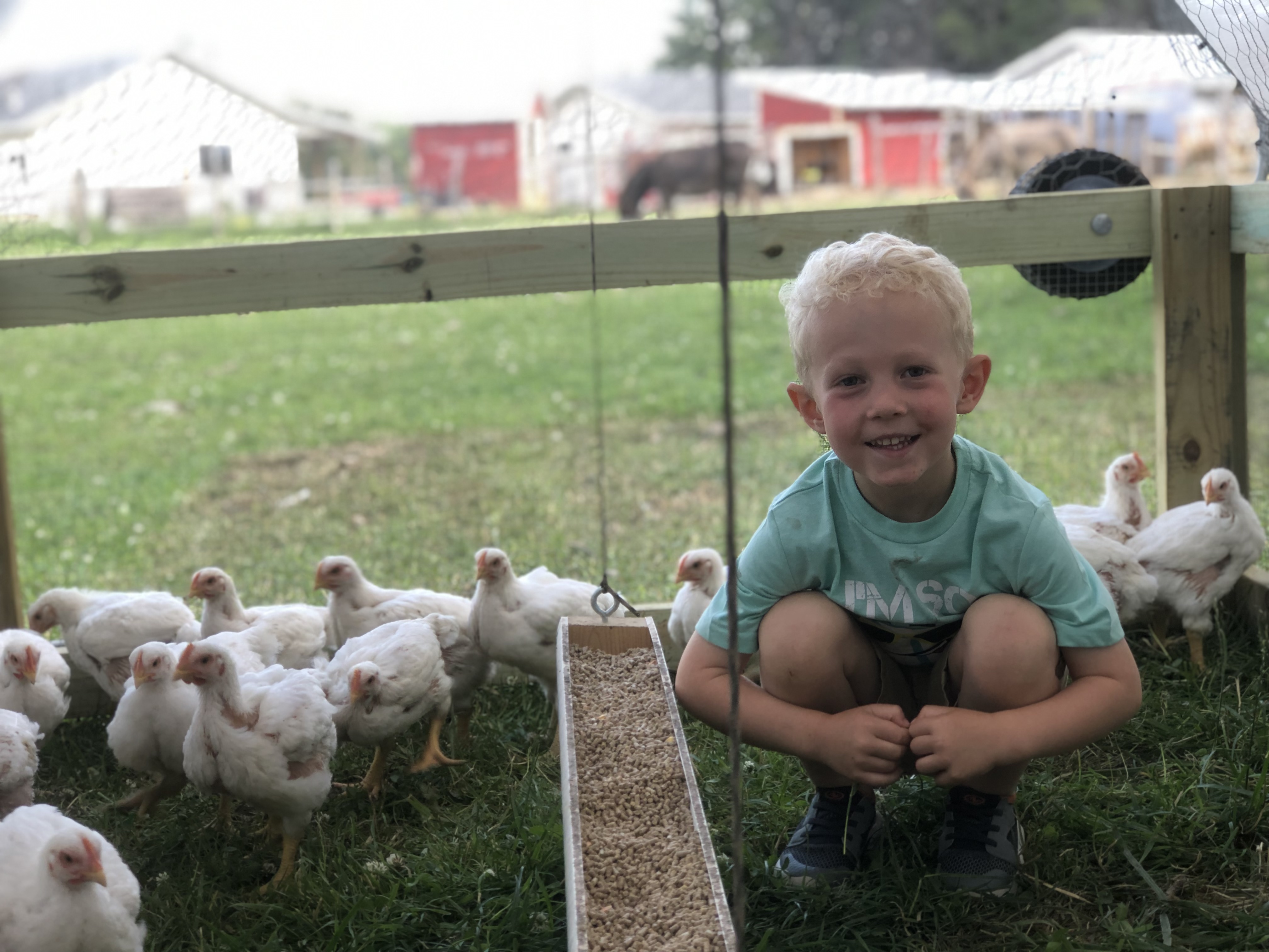 to The Spry Farm Located in Devlin, Ontario Canada