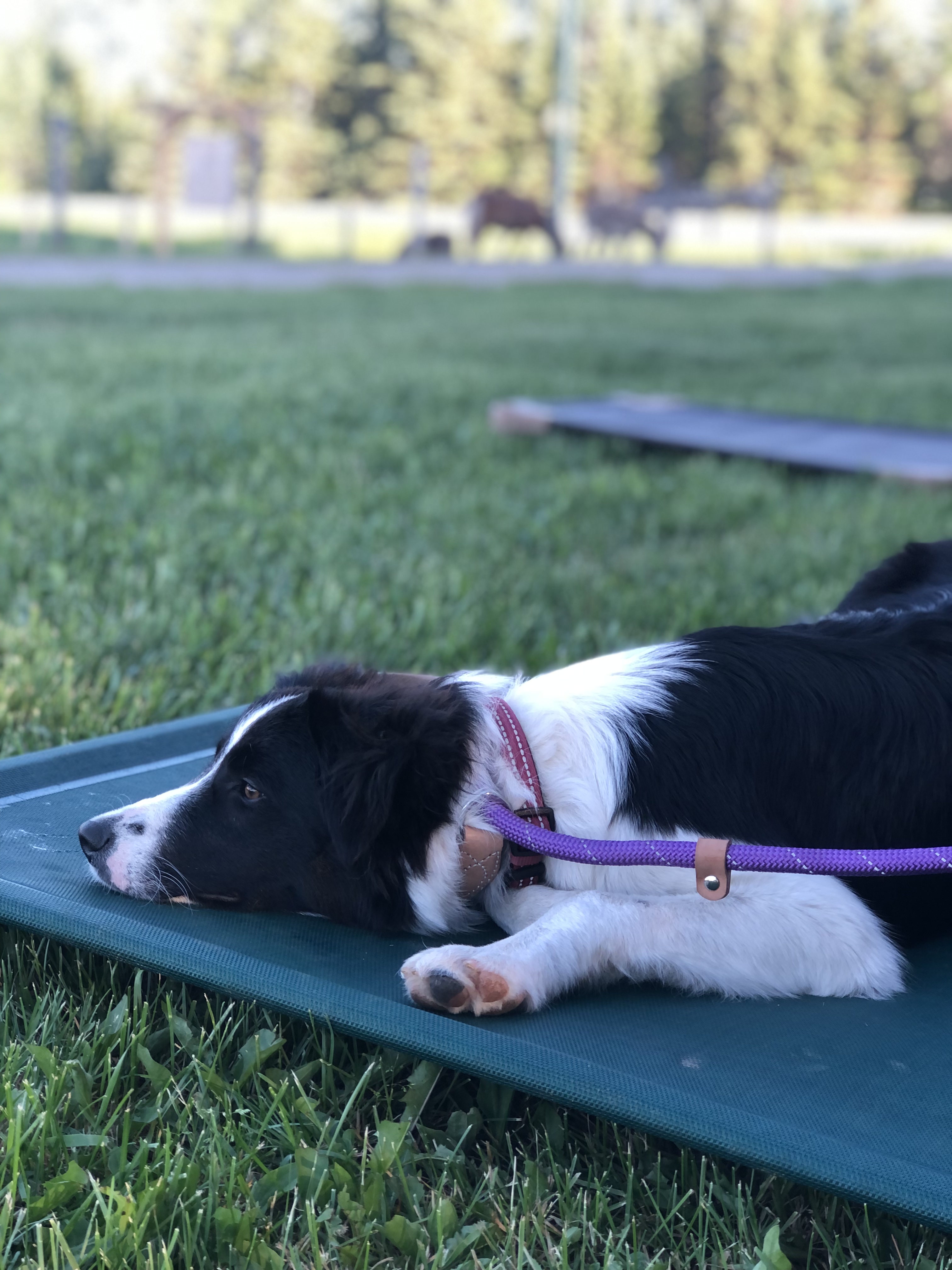 to The Spry Farm Located in Devlin, Ontario Canada